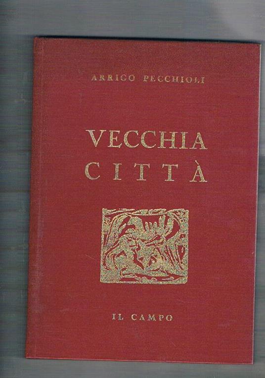 Vecchia città. Siena stupenda d'anima e di forma - Arrigo Pecchioli - copertina