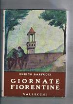 Giornate fiorentine. La città la collina i pellegrini stranieri