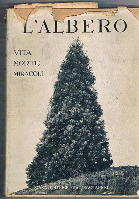 L' albero vita, morte, miracoli - Maria B. Pasini - copertina
