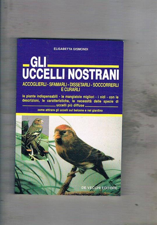 Libreria Gullà