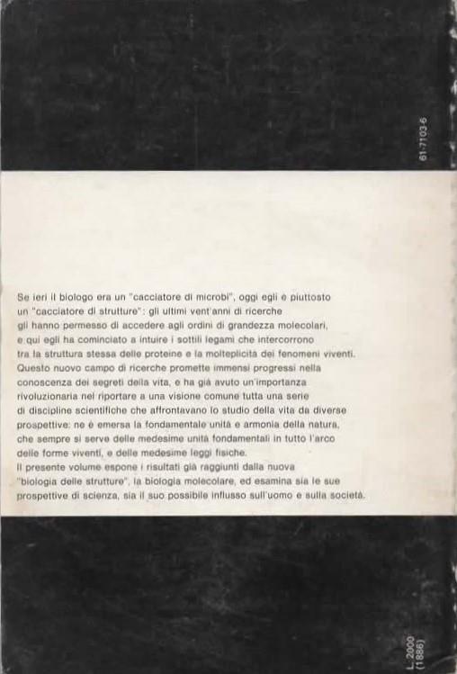 La rivoluzione molecolare. Frontiere attuali della biologia - Augusto Lattanzi - 2