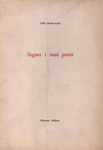 Sogna i tuoi prati