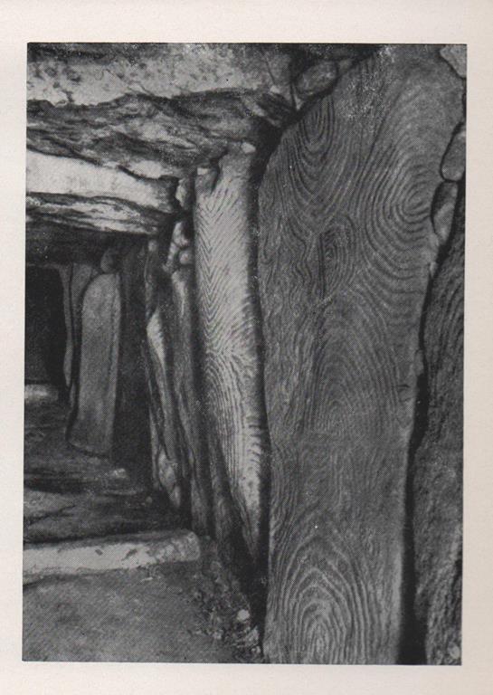 Il Muro di Tessa Studio bibliografico