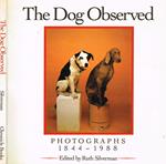 The Dog Observed. Photographs 1844-1988
