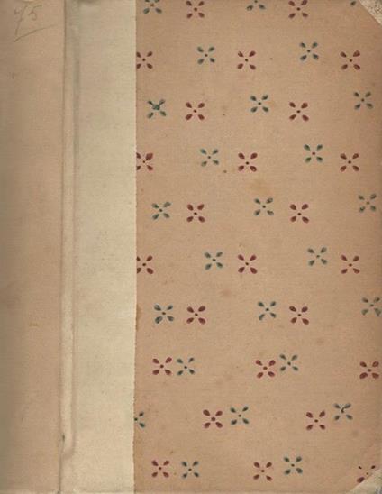 Il fuoco - Gabriele D'Annunzio - copertina