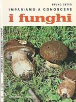 Impariamo a conoscere i funghi