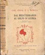 Che cosa è l' Africa Vol. I. Dal Mediterraneo al Golfo di Guinea