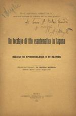 Un focolaio di tifo esantematico in laguna. Rilievi di epidemiologia e di clinica. Estratto dal giornale: Il Mondo Medico, febbraio-marzo-aprile-maggio 1920