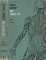 Human anatomy and physiology