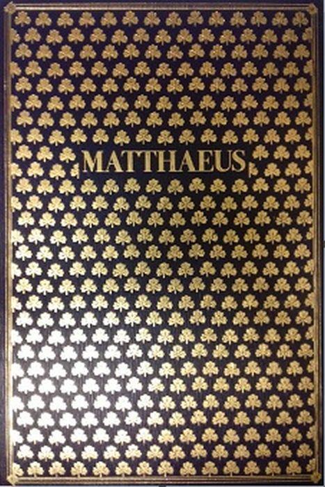 Matthaeus. Vangelo Secondo Matteo - Nicola Lisi - copertina