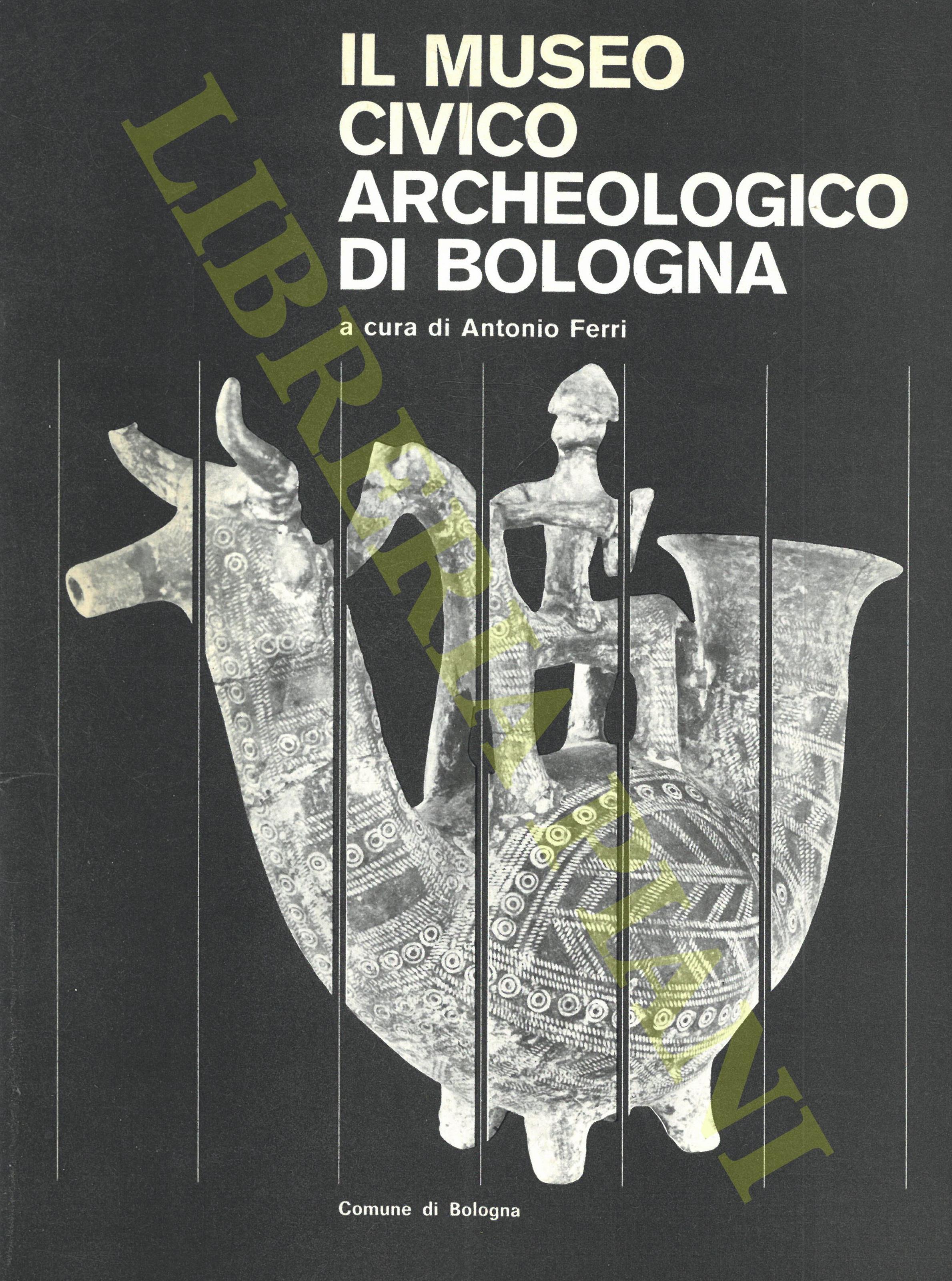 Il Museo Civico Archeologico di Bologna
