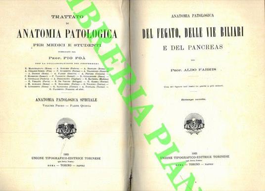 Anatomia patologica del fegato, delle vie biliari e del pancreas - Aldo Fabris - copertina