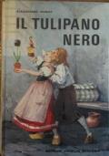 Il tulipano nero - Alexandre Dumas - copertina