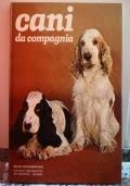 Libreria Libr'aria