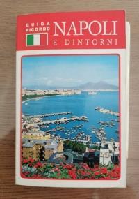 Napoli e dintorni di M.A. Bonaventura - copertina