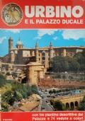 Urbino e il palazzo ducale di Angeli