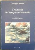 Cronache del tempo intermedio - Giuseppe Amata - copertina