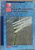 Geografia economica e del territorio di A. Ardemagni - copertina