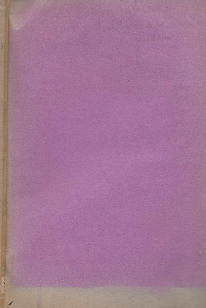 Sul vocabolario italiano della lingua parlata del Professore Giuseppe Rigutini - Angelo Angelucci - copertina