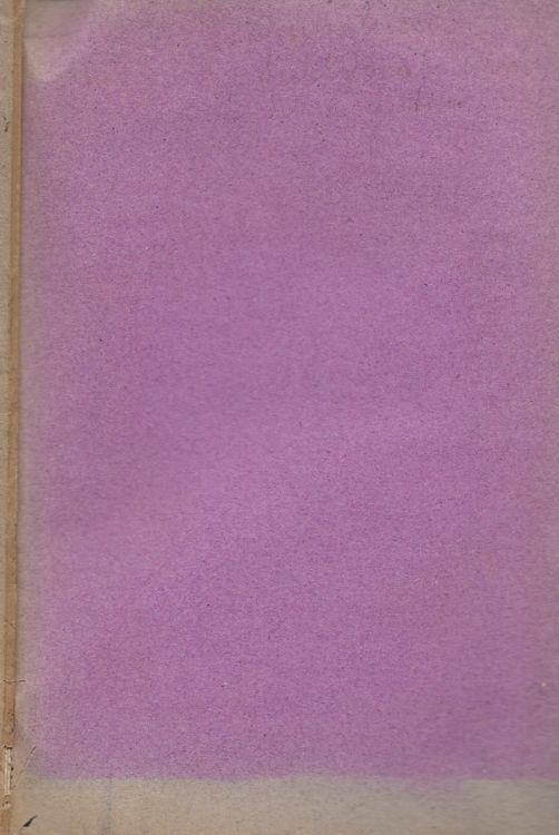 Sul vocabolario italiano della lingua parlata del Professore Giuseppe Rigutini - Angelo Angelucci - copertina