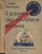 Il paggio del cavaliere errante