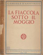 La fiaccola sotto il moggio