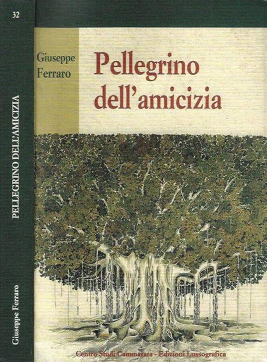 Pellegrino dell'amicizia - Giuseppe Ferraro - copertina