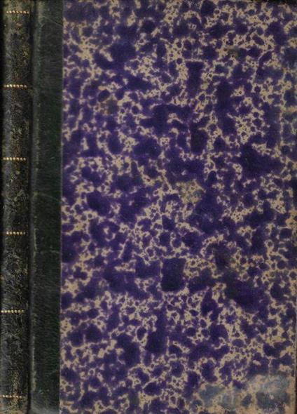 Grammaire francaise aide-mémoire à l'usage de la classe moyenne et de la classe superieure des écoles techniques d'Italie - Vincenzo Leitentlz - copertina