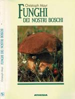 Funghi dei nostri boschi