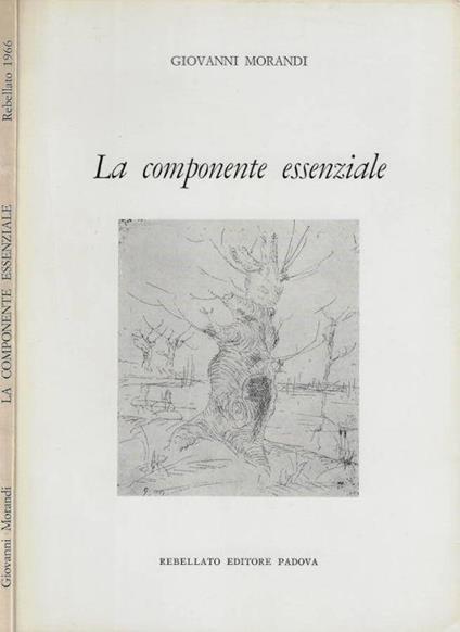 La componente essenziale - Giovanni Morandi - copertina