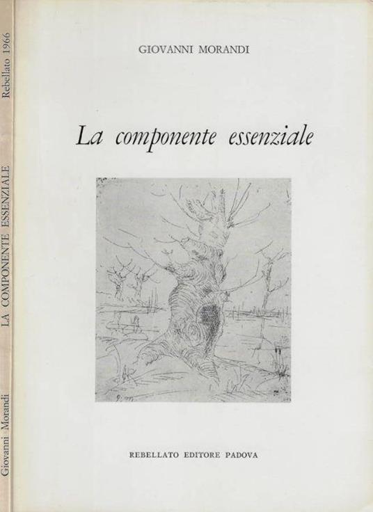 La componente essenziale - Giovanni Morandi - copertina