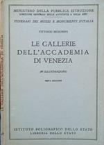 Le gallerie dell’Accademia di Venezia
