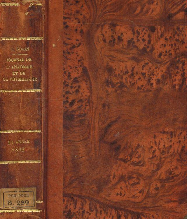 Biblioteca di Babele