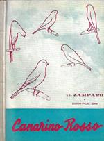 Canarino Rosso