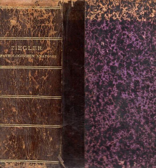 Lehrbuch der allgemeinen und speciellen pathologischen anatomie und pathogenese - copertina
