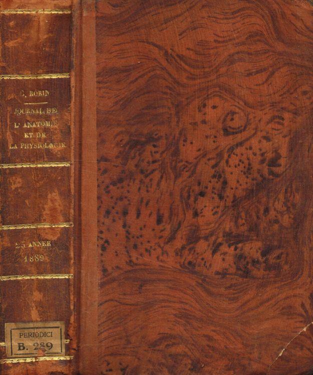 Biblioteca di Babele
