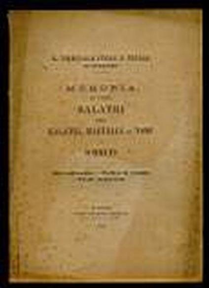 Memoria in causa Balatri contro Balatri, Martelli nei nomi e Schmuts - Giovanni Poggi - copertina