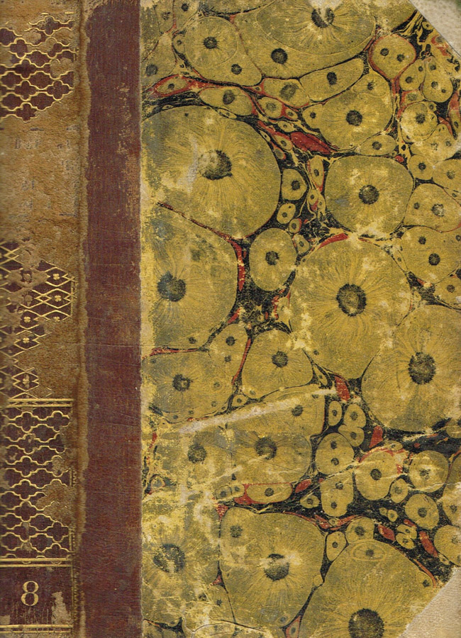 Biblioteca di Babele