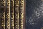 Storia dei Domini Stranieri in Italia. Dalla Caduta dell'Impero Romano in Occidente fino ai Giorni Nostri