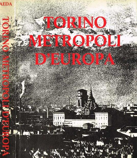 Torino metropoli d'europa - copertina