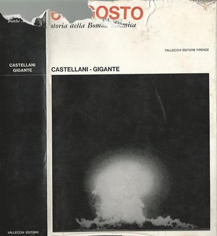 La radiologia clinica del nord America. La radiologia del fegato delle vie bilari e del pancreas – La radiologia dell'apparato digerente - copertina