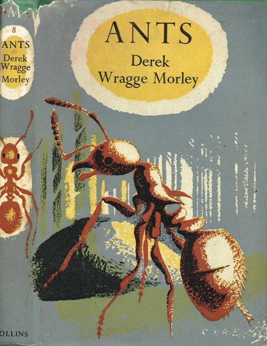 Ants - Derek Wragge Morley - copertina