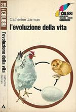 L' evoluzione della vita