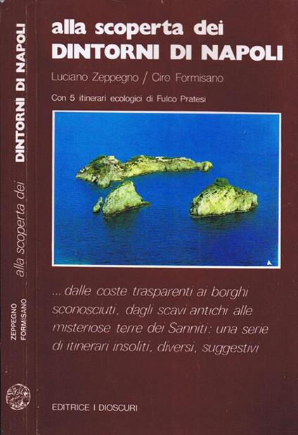 Alla Scoperta dei Dintorni di Napoli. Dalle Coste Trasparenti ai Borghi Sconosciuti, Dagli Scavi Antichi alle Misteriose Terre dei Sanniti - Luciano Zeppegno - copertina