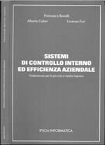Sistemi di controllo interno ed efficienza aziendale. Vademecum per la piccola e media impresa
