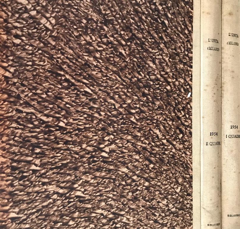 Biblioteca di Babele