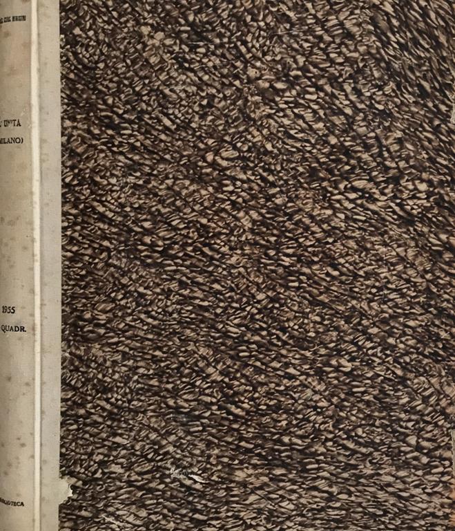 Biblioteca di Babele