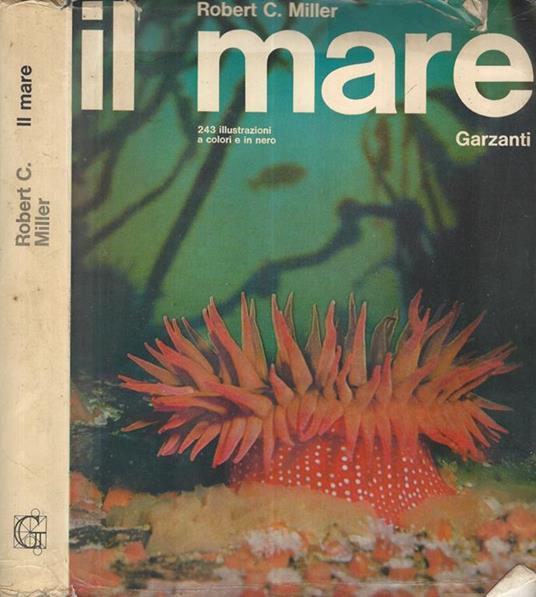 Il mare - Robert C. Miller - copertina