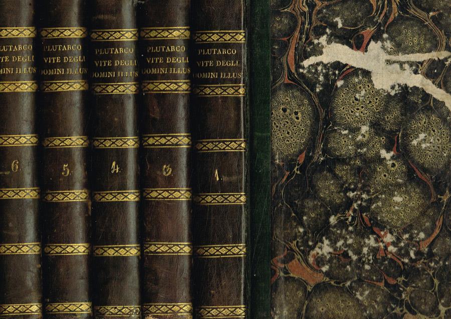 Biblioteca di Babele