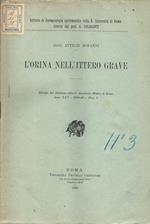L' orina nell'ittero grave